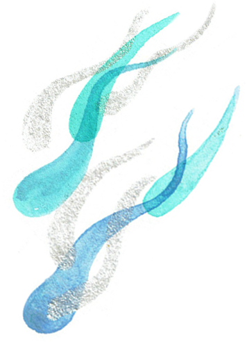 water series – kinship with water #1